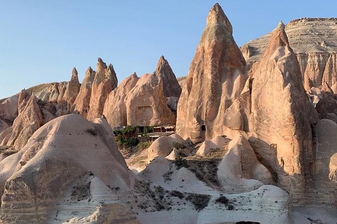 4-Hour-Horsebackriding-Tour through Cappadocia - The horses: full Arabian breeds, including champions in retirement