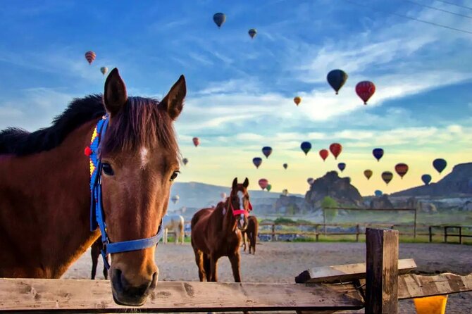 Balloon Watching Tour in Cappadocia with Hotel Pick-Up & Drop-Off - Why balloon watching works in Cappadocia’s valleys