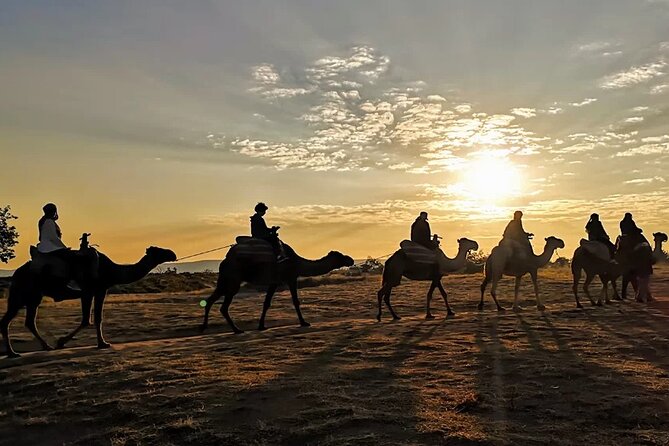 Camel Safari in Cappadocia - Camel Safari in Cappadocia, what the experience feels like