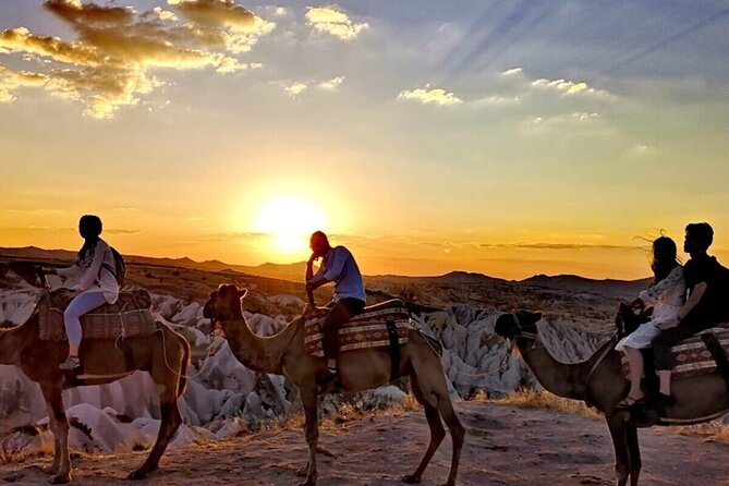 Camel Safari in Cappadocia - Animal welfare concerns, what to watch for, and how to handle them