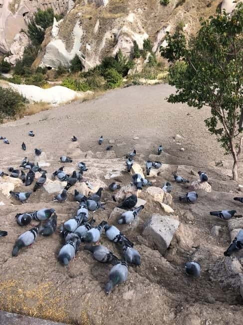 Cappadocia 1 or 2 Day Private Tour - Avanos on the river: kick-wheel pottery you can actually try