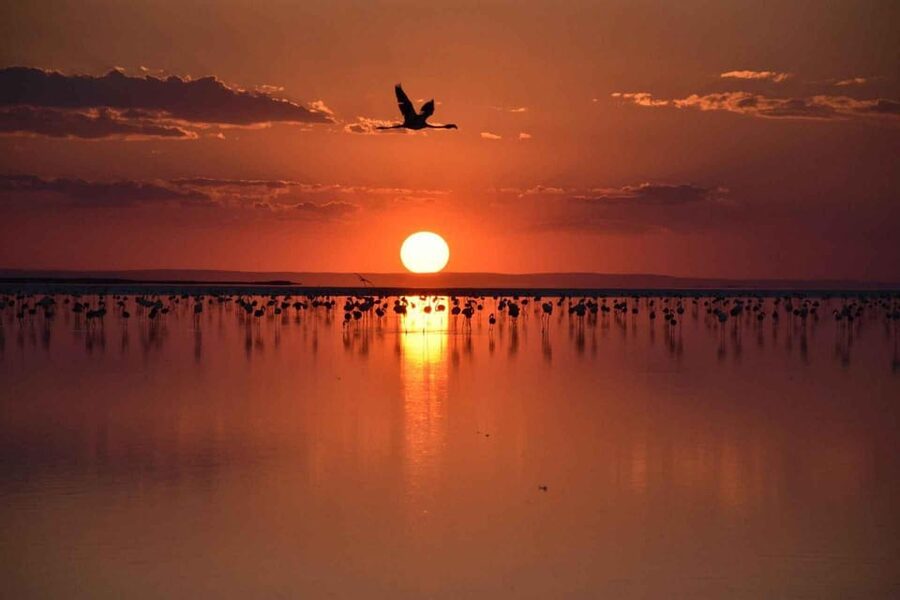 Cappadocia Amazing Sunset Tour To Salt Lake - Who Should Book This Salt Lake Sunset Tour