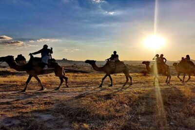 Cappadocia Camel Ride