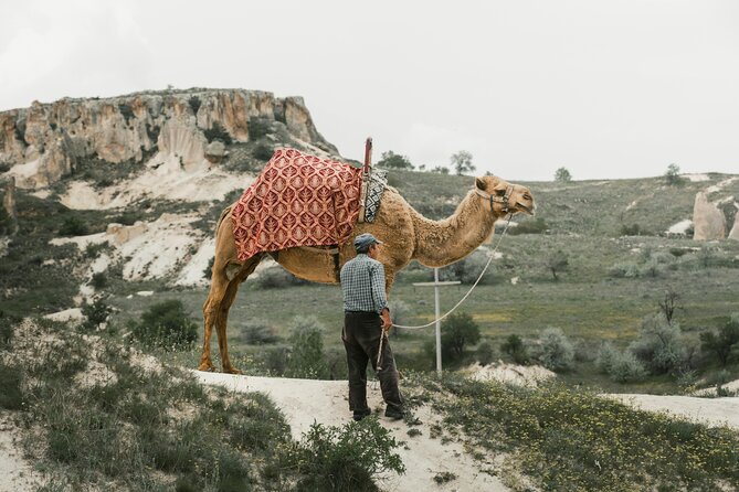 Cappadocia Camel Ride Experience with Hotel Pickup - Hotel Pickup in Cappadocia: Why This Changes the Whole Experience