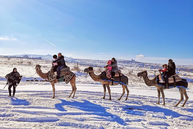 Cappadocia Camel Ride Tour - The 1.5-Hour Experience: Pace, Group Size, and What It Includes