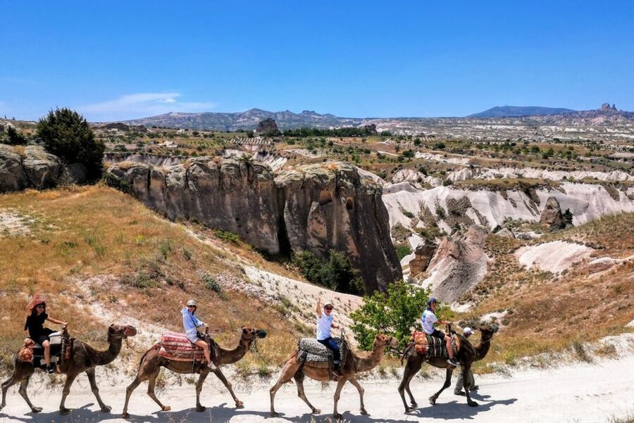 Cappadocia: Camel Safari - Key highlights at a glance