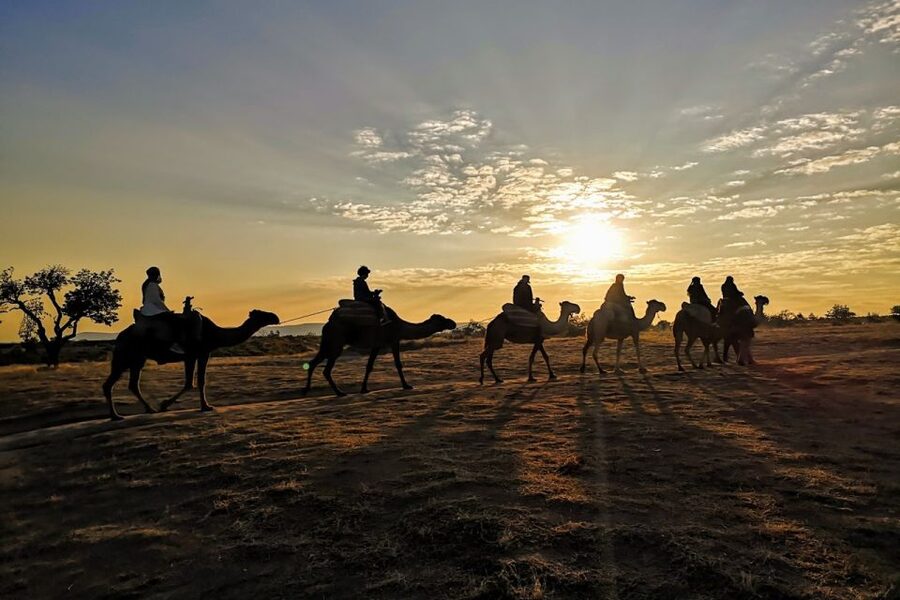 Cappadocia: Camel Safari - Riding Through Valley Views, Including Rose Valley