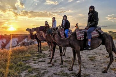 Camel Safari