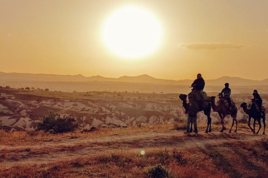 Cappadocia: Camel Safari - Price and Value: Is $56 Worth It?