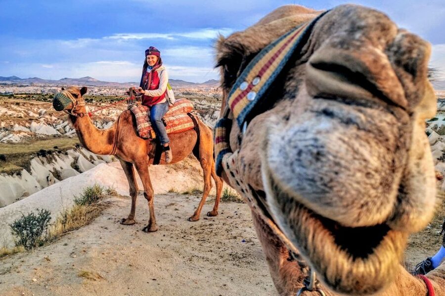 Cappadocia: Camel Safari - Who Should Book This Camel Safari (and Who Should Skip It)