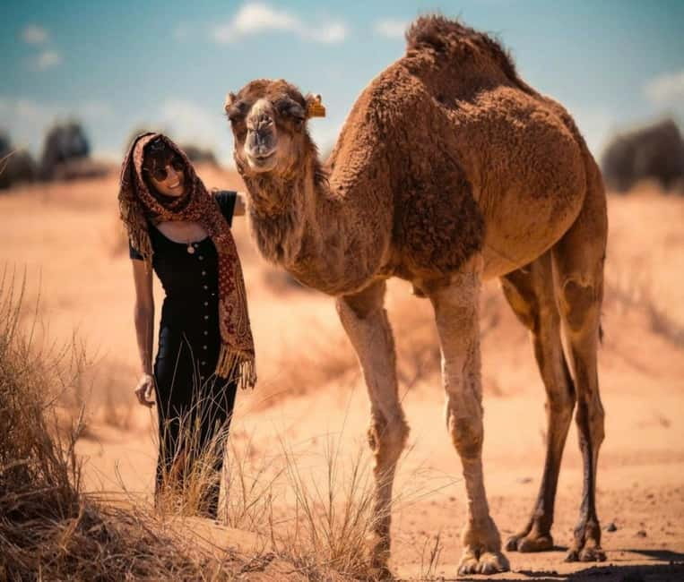 Cappadocia: Camel Safari Tour with Transfer - Key Things To Know Before You Go
