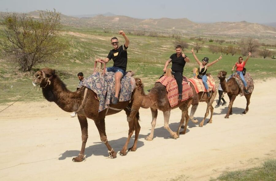 Cappadocia: Camel Safari Tour with Transfer - Transfers, Timing, and How to Plan the Rest of Your Day
