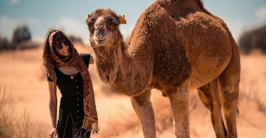 Cappadocia: Camel Safari Tour with Transfer - Price and Value: Is $60 Worth It for a 1-Hour Ride?