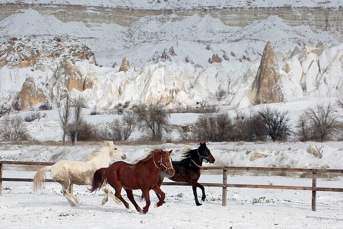 Cappadocia: Fairy Chimneys Horseback Riding Adventure - Key Highlights You’ll Care About