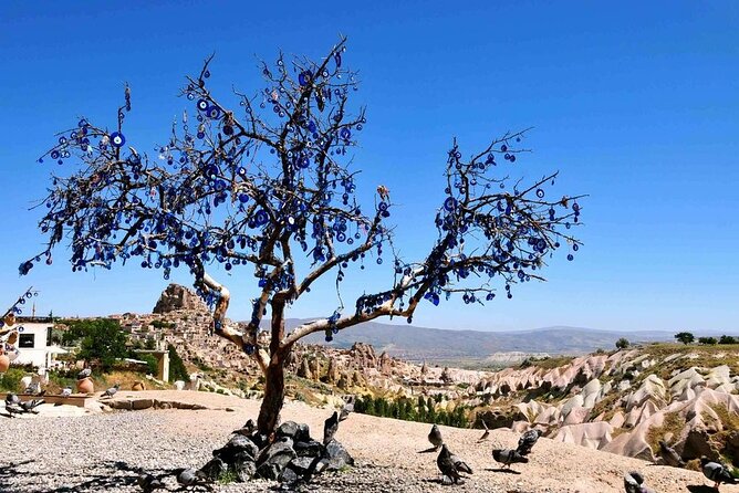 Cappadocia Full Day Green Tour - Güvercinlik (Pigeon) Valley: Quick Views and Old Pigeon Lofts