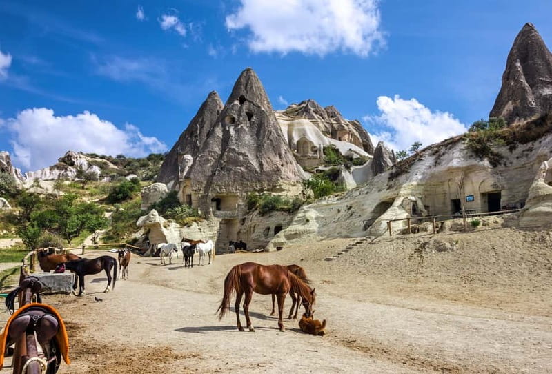 Cappadocia: Göreme Horse Riding, Fairy Chimneys w/Transfer - Riding Through Fairy Chimneys, Valleys, Orchards, and Vineyards