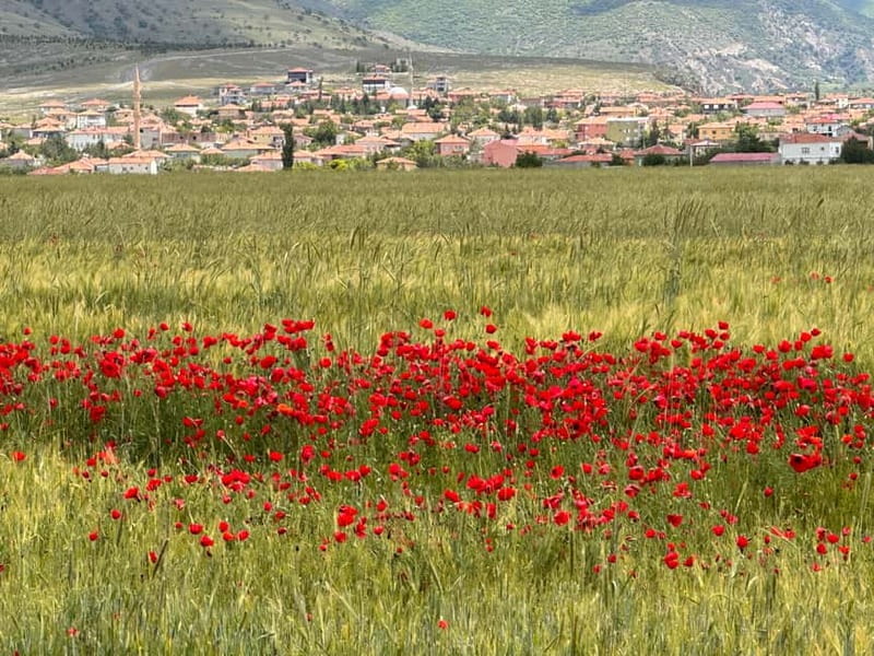 Cappadocia: Green Tour with Derinkuyu Underground City - Narlıgöl Crater Lake and Nar Lake breaks: short scenic resets