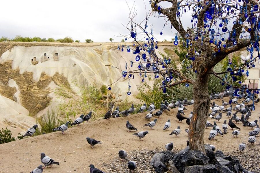Cappadocia: Green Tour with Entry Fees and Lunch - Ihlara Valley: the river walk, over 100 churches, and lunch in the canyon