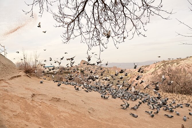 Cappadocia Highlights Tour and Underground City - Love Valley and Wishing Trees: Short Stops, Great Stories
