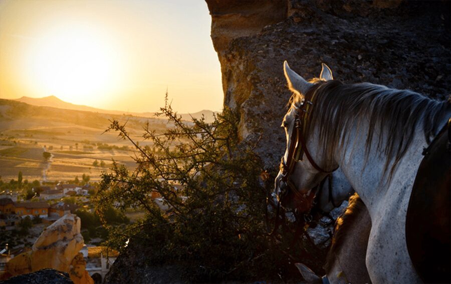 Cappadocia Horse Riding &Atv Quad Bike & Shooting with Camel - FAQ