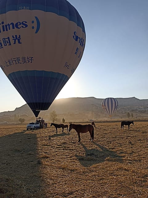 Cappadocia Horse Riding &Atv Quad Bike & Shooting with Camel - Should you book this horse riding, ATV quad, and camel package?