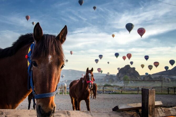 Cappadocia Horse Riding Experience Sunrise Sunset Daytime - Key takeaways before you book