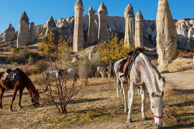 Cappadocia Horse Riding Experience Sunrise Sunset Daytime - Why Ride Cappadocia on Horseback Instead of Just Looking