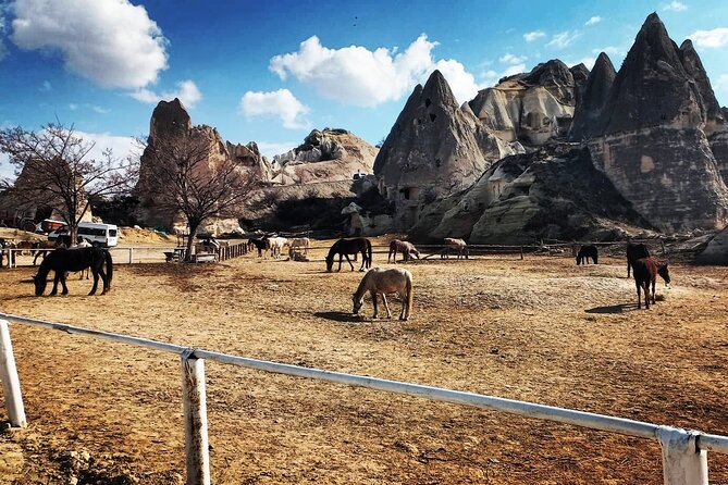 Cappadocia Horse Riding Tour: Sunrise, Sunset, 1 Hour or 2 Hours - What 1 Hour Versus 2 Hours Means for Your Body