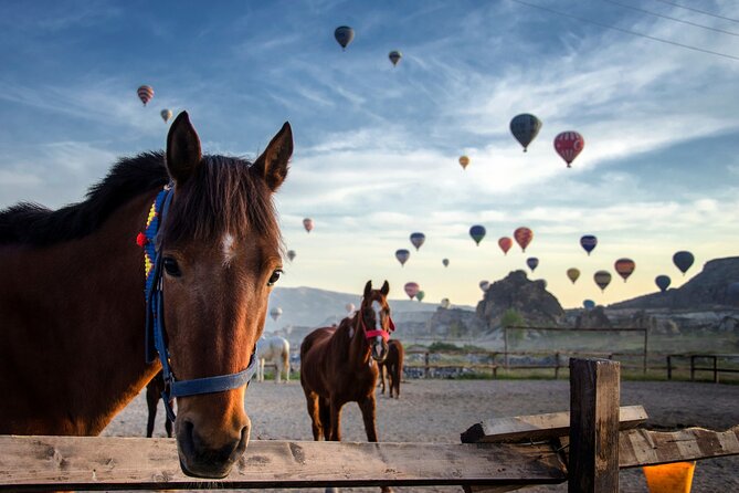 Cappadocia Horse Riding Tour: Sunrise, Sunset, 1 Hour or 2 Hours - Hotel Pickup and the Small-Group Ride Style