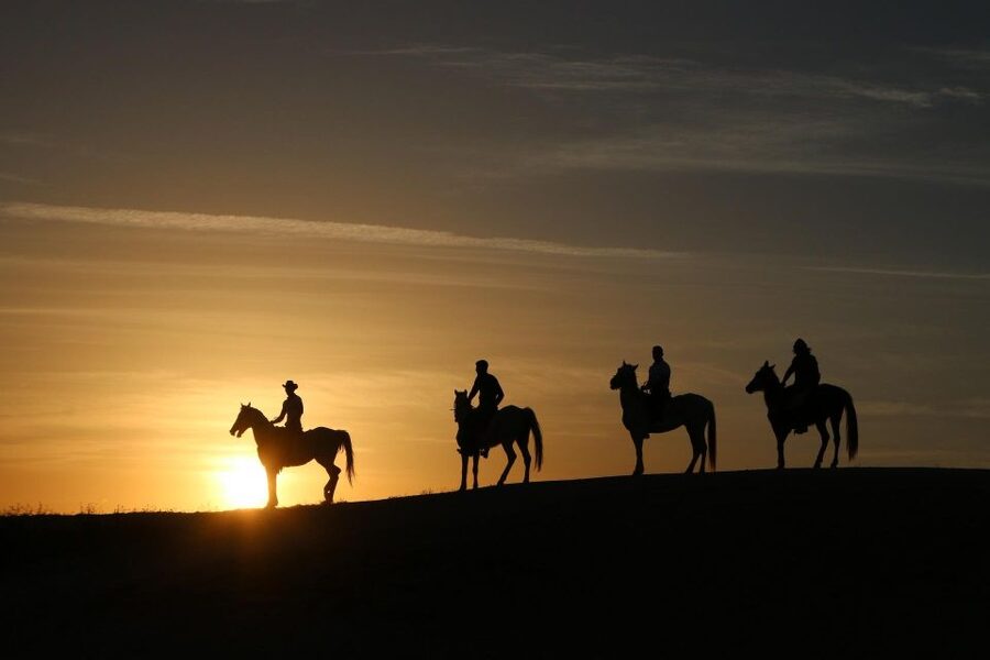 Cappadocia: Horse Riding Tour Sunset or Day Time with Pickup - Sunset or Daytime: Picking the Right Light for Your Priorities