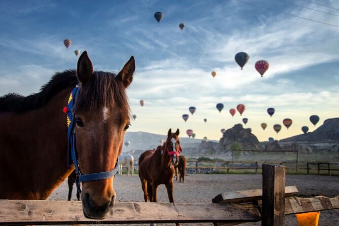 Cappadocia Horseback Riding Adventure at Sunrise, Sunset, Tour - Key points to know before you book