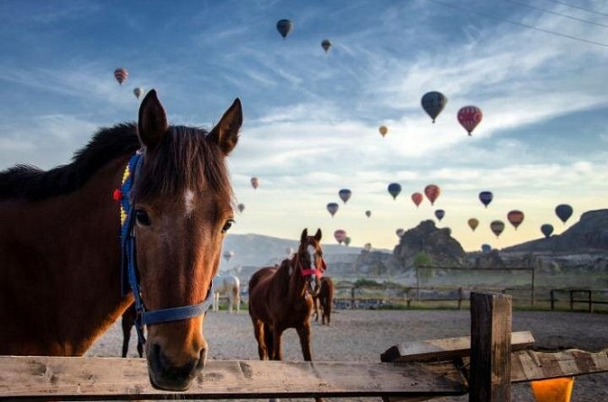 Cappadocia Horseback Riding Adventure at Sunrise, Sunset, Tour - Price and value, is $36.30 worth a 4-hour horse ride?