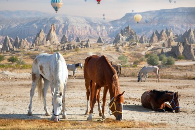 Cappadocia Horseback Riding Adventure at Sunrise, Sunset, Tour - Small group pacing, English guidance, and the human touches