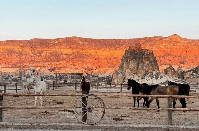 Cappadocia Horseback Riding Adventure at Sunrise, Sunset, Tour - Should you book this Cappadocia horseback riding tour?