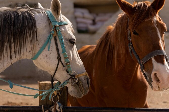 Cappadocia Horseback Riding Experience Sunrise, Daytime & Sunset - The guides and horses: what makes it feel safe for first timers