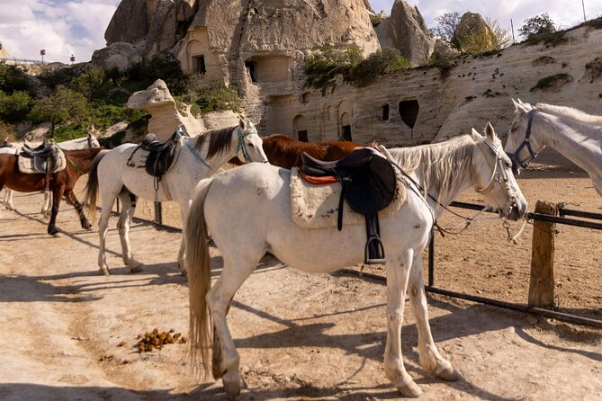 Cappadocia Horseback Riding Experience Sunrise, Daytime & Sunset - Tour timing: sunrise, daytime, or sunset, and how to choose