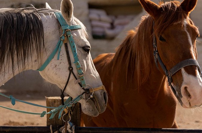 Cappadocia Horseback Riding Experience Sunrise, Daytime & Sunset - Price and value: what $27.55 buys in real terms