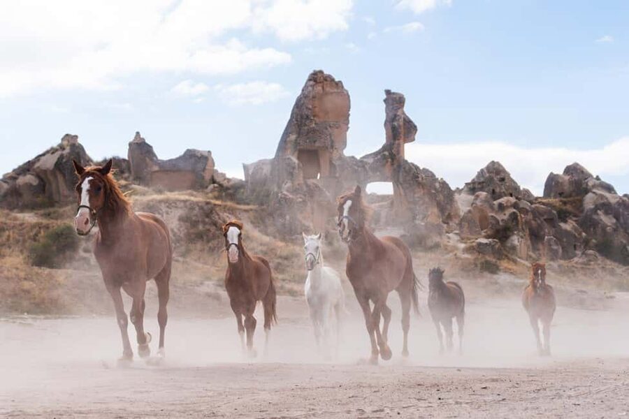 Cappadocia :Horseback Riding Tour Rose-Red Valley/LoveValley - Red and Rose Valley: Where the Best Photos Come From