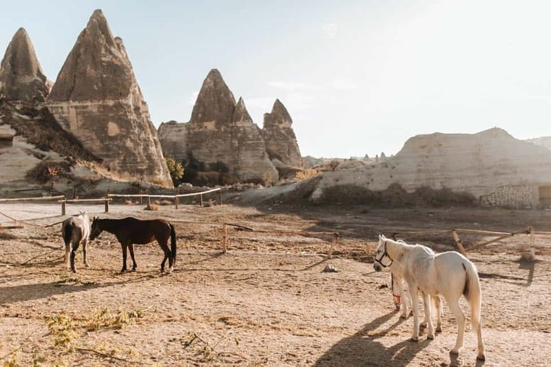 Cappadocia Horseback Riding : Unique Exploration Horse Tour - Your Options: 1-Hour Ride, Sunrise Ride, or Sunset Ride