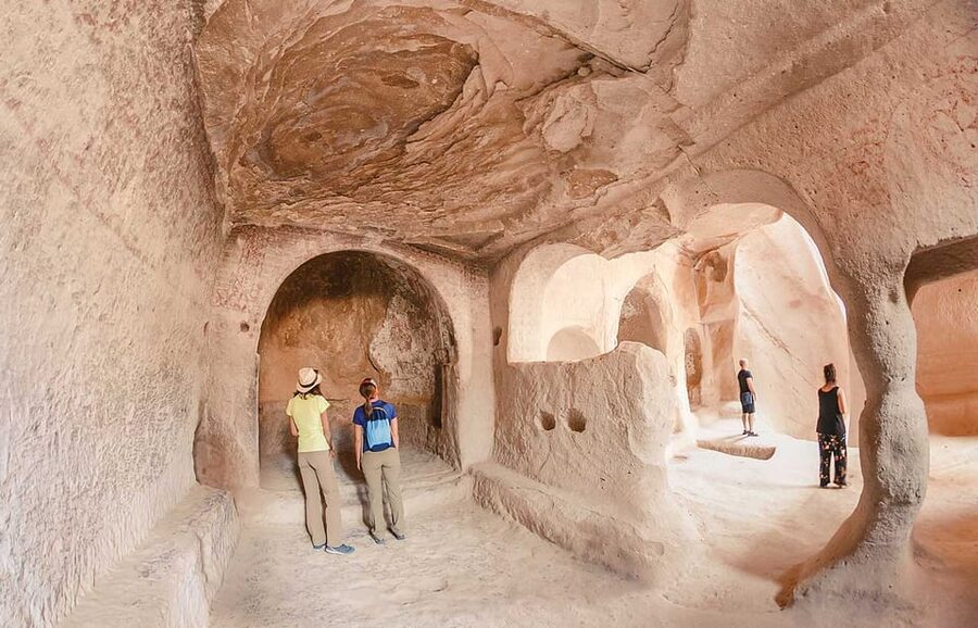Cappadocia: Private Day Tour with Wine Tasting - Pasabagi fairy chimneys: the iconic shapes up close