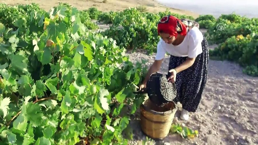 Cappadocia: Private Half-Day Vineyards & Wine Tasting Tour - Guides make it personal, from Aygül to Elif
