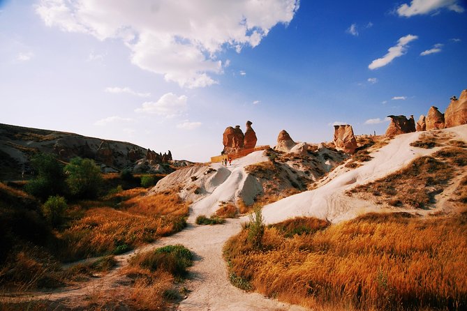 Cappadocia Private Tour - Cappadocia's All Highlights in 1 Day - Devrent Valley, Imagination Valley and Quick Animal-Shaped Stops