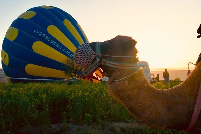 Cappadocia: Sunrise Camel Safari - Pickup Into the Morning: Towns, Timing, and What You Actually Do First
