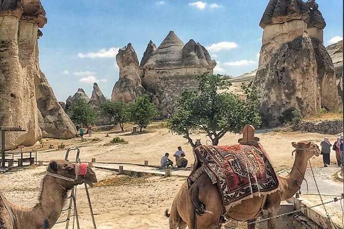 Cappadocia Tour Full Day ( Red Tour + Underground City ) - Devrent Valley Imagination: animals in stone without the church stops