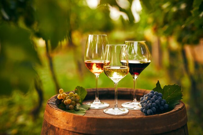 Cappadocia Wine Tasting Experience - Price, group size, and whether $78.09 is fair value