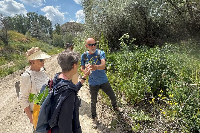 Foraging and Gastronomy Experience - Key Highlights You’ll Care About