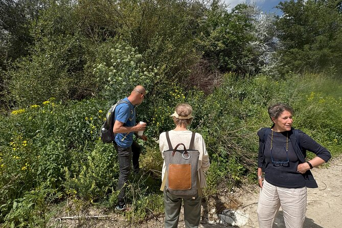 Foraging and Gastronomy Experience - A Half-Day With Coffee, Foraging, and Mezes From Goreme
