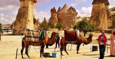 Sunrise or Sunset Camel Riding Day Trip