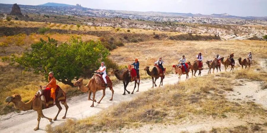 From Cappadocia: Sunrise or Sunset Camel Riding Day Trip - Getting the Timing Right: Your Pickup Is the Whole Game
