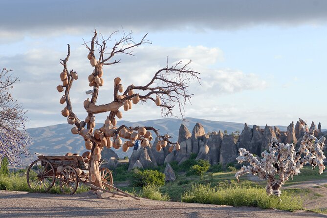 Full Day Cappadocia Red Tour (With & Without Museum and Lunch) - Price and logistics: a classic Red Tour day without the stress